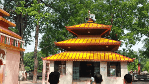Gadimai Mela