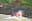 Trishuli River Rafting