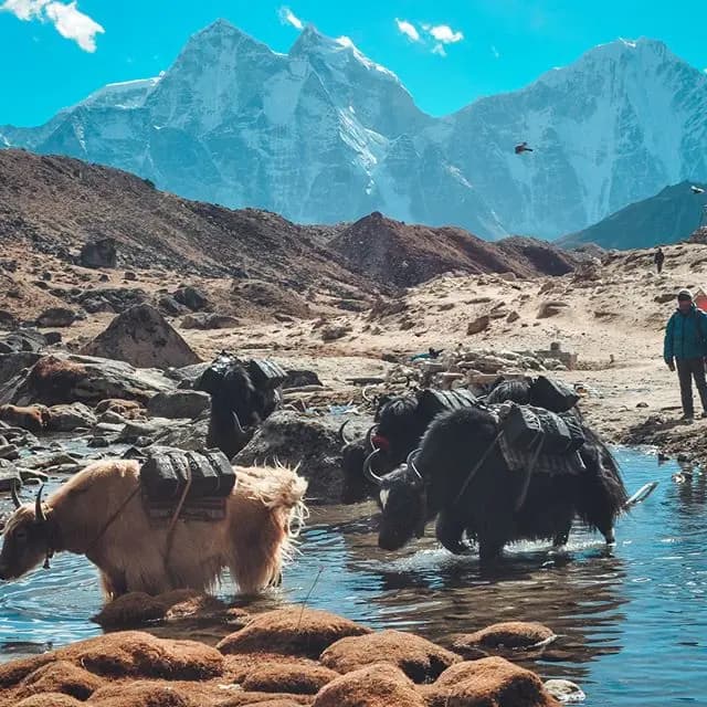 Gokyo Cho la Pass - 5 gallery